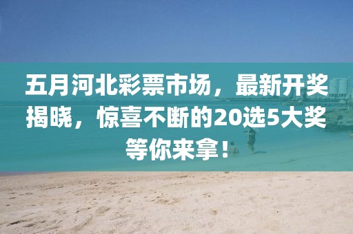 五月河北彩票市场，最新开奖揭晓，惊喜不断的20选5大奖等你来拿！