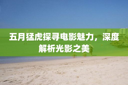五月猛虎探寻电影魅力，深度解析光影之美