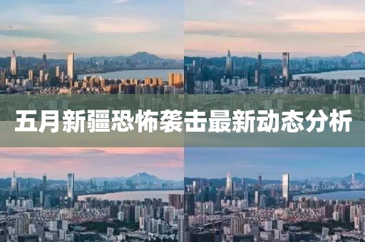 五月新疆恐怖袭击最新动态分析
