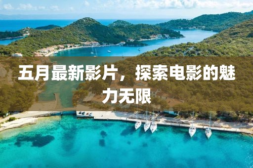 五月最新影片，探索电影的魅力无限