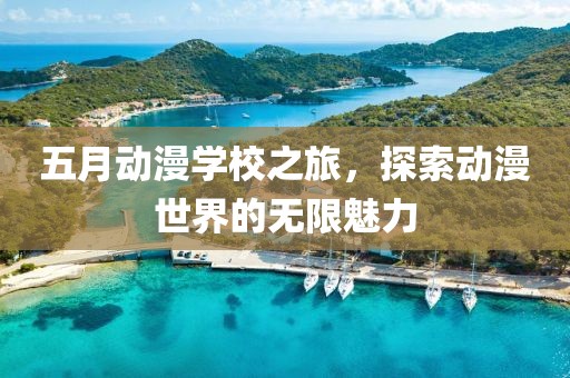 五月动漫学校之旅，探索动漫世界的无限魅力