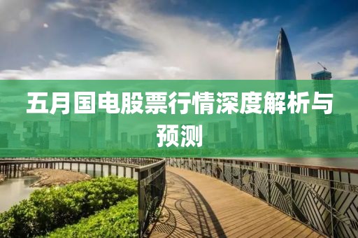 五月国电股票行情深度解析与预测