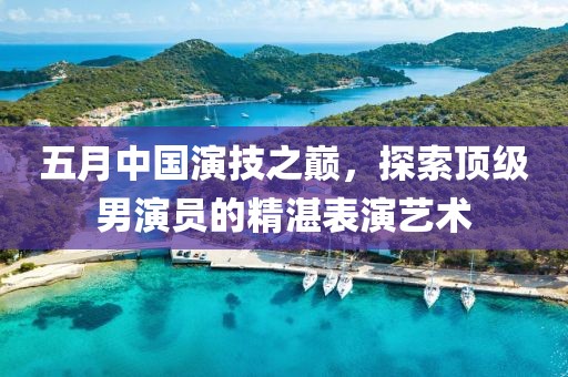 五月中国演技之巅，探索顶级男演员的精湛表演艺术