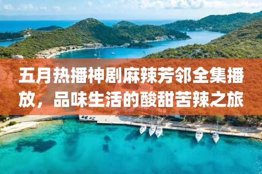 五月热播神剧麻辣芳邻全集播放，品味生活的酸甜苦辣之旅