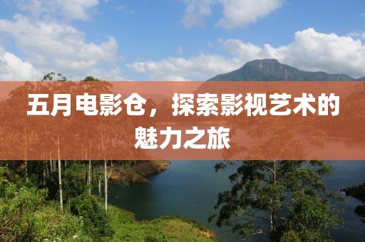 五月电影仓，探索影视艺术的魅力之旅