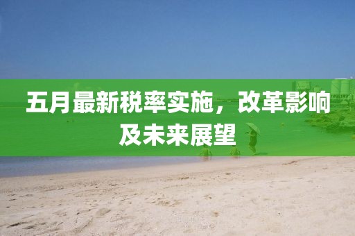 五月最新税率实施，改革影响及未来展望