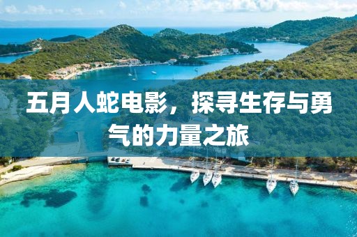 五月人蛇电影，探寻生存与勇气的力量之旅