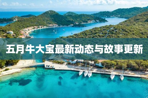 五月牛大宝最新动态与故事更新