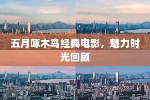 五月啄木鸟经典电影，魅力时光回顾