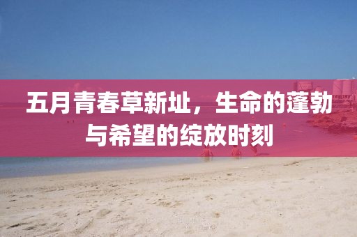 五月青春草新址，生命的蓬勃与希望的绽放时刻