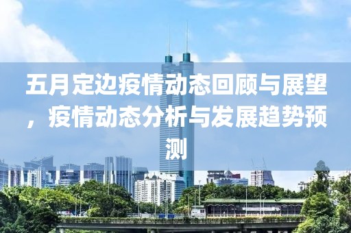 五月定边疫情动态回顾与展望，疫情动态分析与发展趋势预测