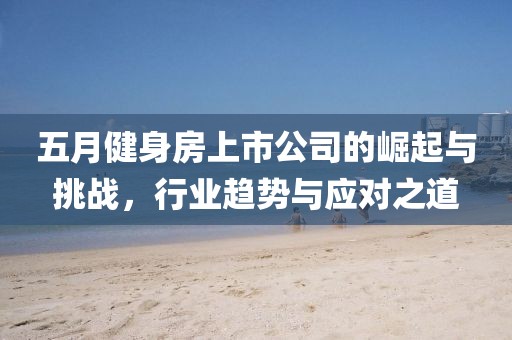 五月健身房上市公司的崛起与挑战，行业趋势与应对之道