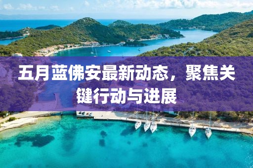 五月蓝佛安最新动态，聚焦关键行动与进展