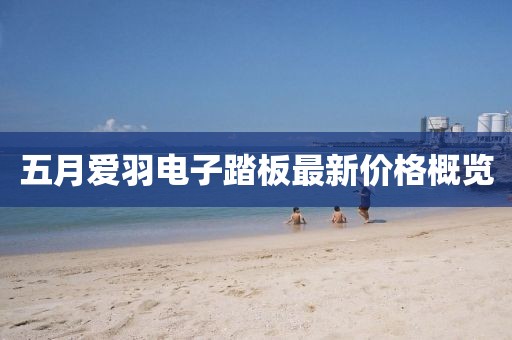 五月爱羽电子踏板最新价格概览
