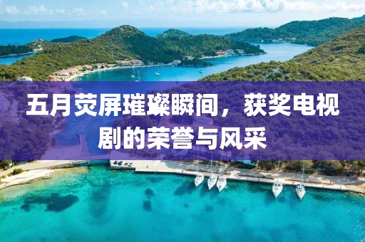 五月荧屏璀璨瞬间，获奖电视剧的荣誉与风采