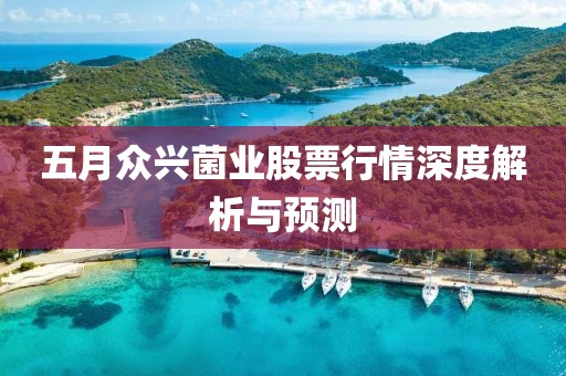 五月众兴菌业股票行情深度解析与预测