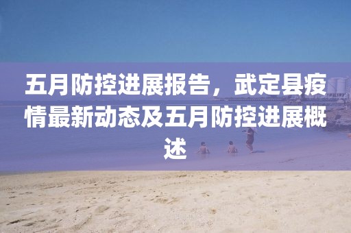 五月防控进展报告，武定县疫情最新动态及五月防控进展概述