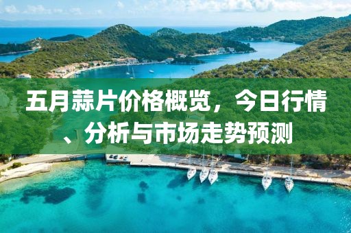 五月蒜片价格概览，今日行情、分析与市场走势预测