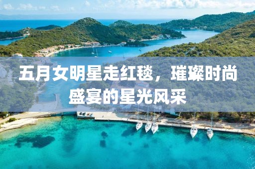 五月女明星走红毯，璀璨时尚盛宴的星光风采