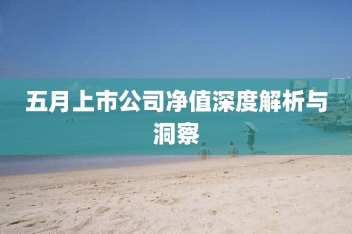 五月上市公司净值深度解析与洞察