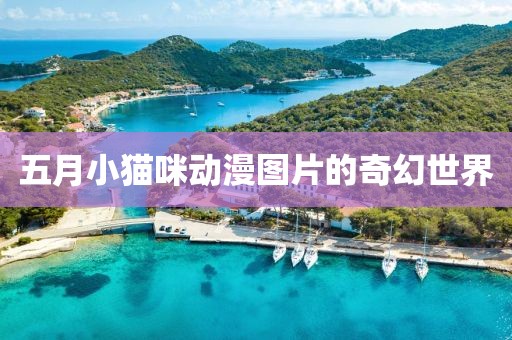 五月小猫咪动漫图片的奇幻世界