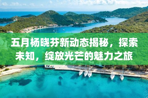 五月杨晓芬新动态揭秘，探索未知，绽放光芒的魅力之旅
