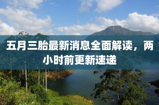 五月三胎最新消息全面解读，两小时前更新速递