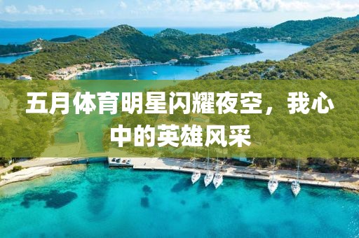 五月体育明星闪耀夜空，我心中的英雄风采