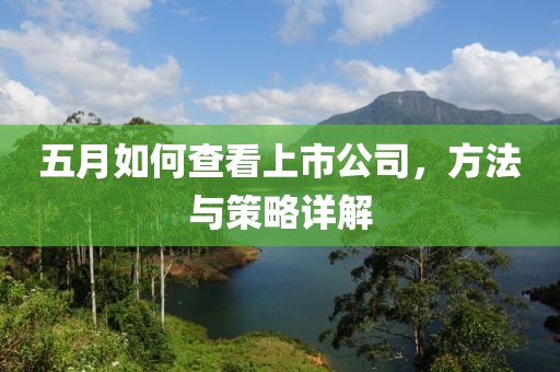 五月如何查看上市公司，方法与策略详解