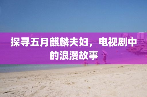 探寻五月麒麟夫妇，电视剧中的浪漫故事