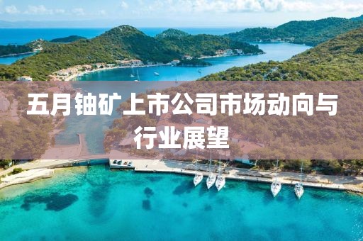 五月铀矿上市公司市场动向与行业展望