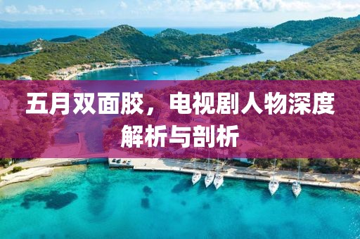 五月双面胶，电视剧人物深度解析与剖析
