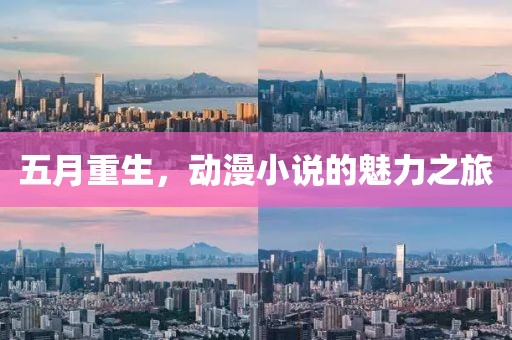 2025年5月26日 第8页