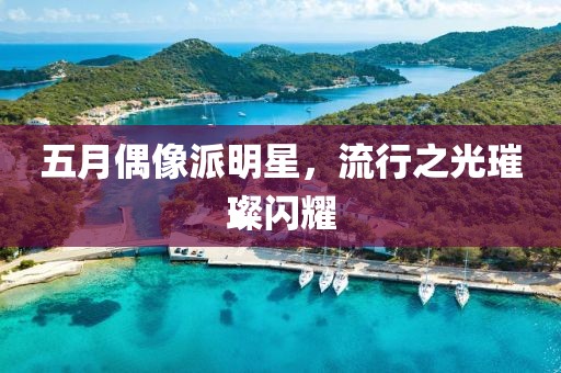 五月偶像派明星，流行之光璀璨闪耀