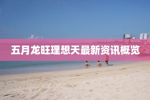 五月龙旺理想天最新资讯概览