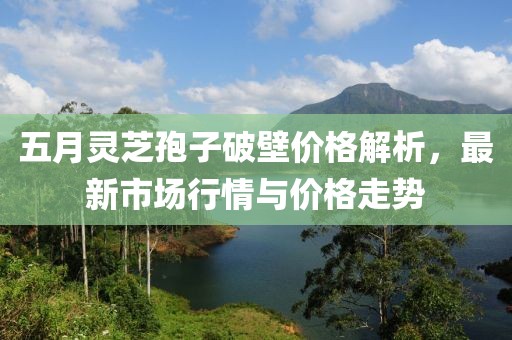 五月灵芝孢子破壁价格解析，最新市场行情与价格走势