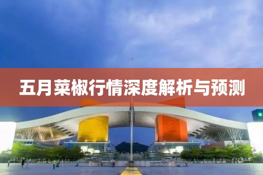 五月菜椒行情深度解析与预测
