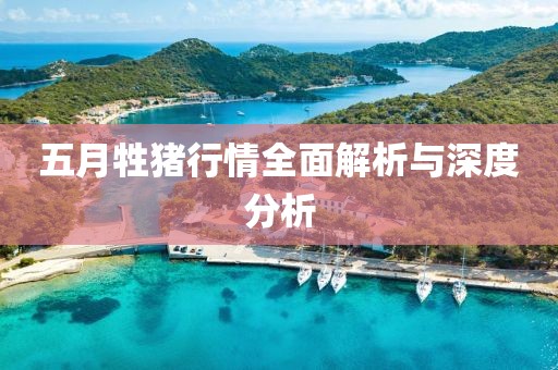 五月牲猪行情全面解析与深度分析