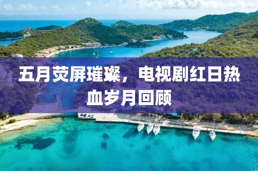 五月荧屏璀璨，电视剧红日热血岁月回顾