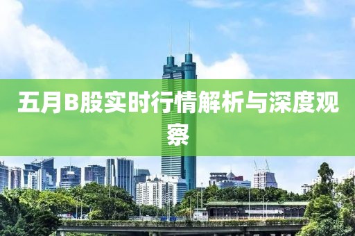 五月B股实时行情解析与深度观察