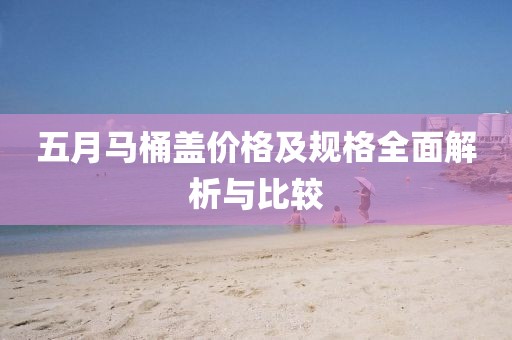 五月马桶盖价格及规格全面解析与比较