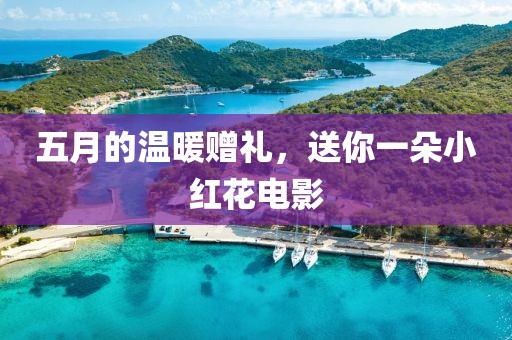 五月的温暖赠礼，送你一朵小红花电影