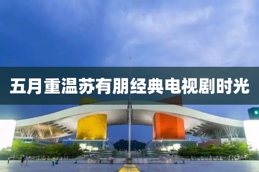 五月重温苏有朋经典电视剧时光