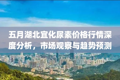 五月湖北宜化尿素价格行情深度分析，市场观察与趋势预测