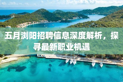 五月浏阳招聘信息深度解析，探寻最新职业机遇