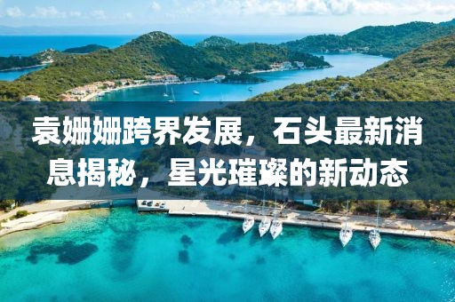 袁姗姗跨界发展，石头最新消息揭秘，星光璀璨的新动态