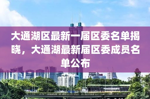 大通湖区最新一届区委名单揭晓，大通湖最新届区委成员名单公布