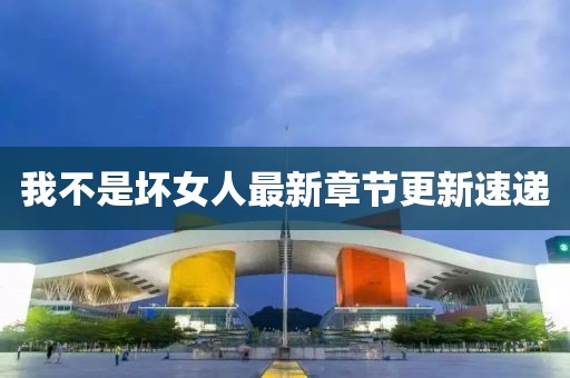 我不是坏女人最新章节更新速递