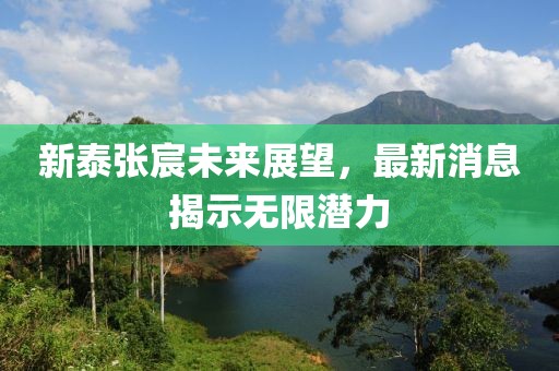 新泰张宸未来展望，最新消息揭示无限潜力