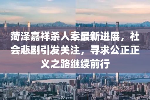 菏泽嘉祥杀人案最新进展，社会悲剧引发关注，寻求公正正义之路继续前行
